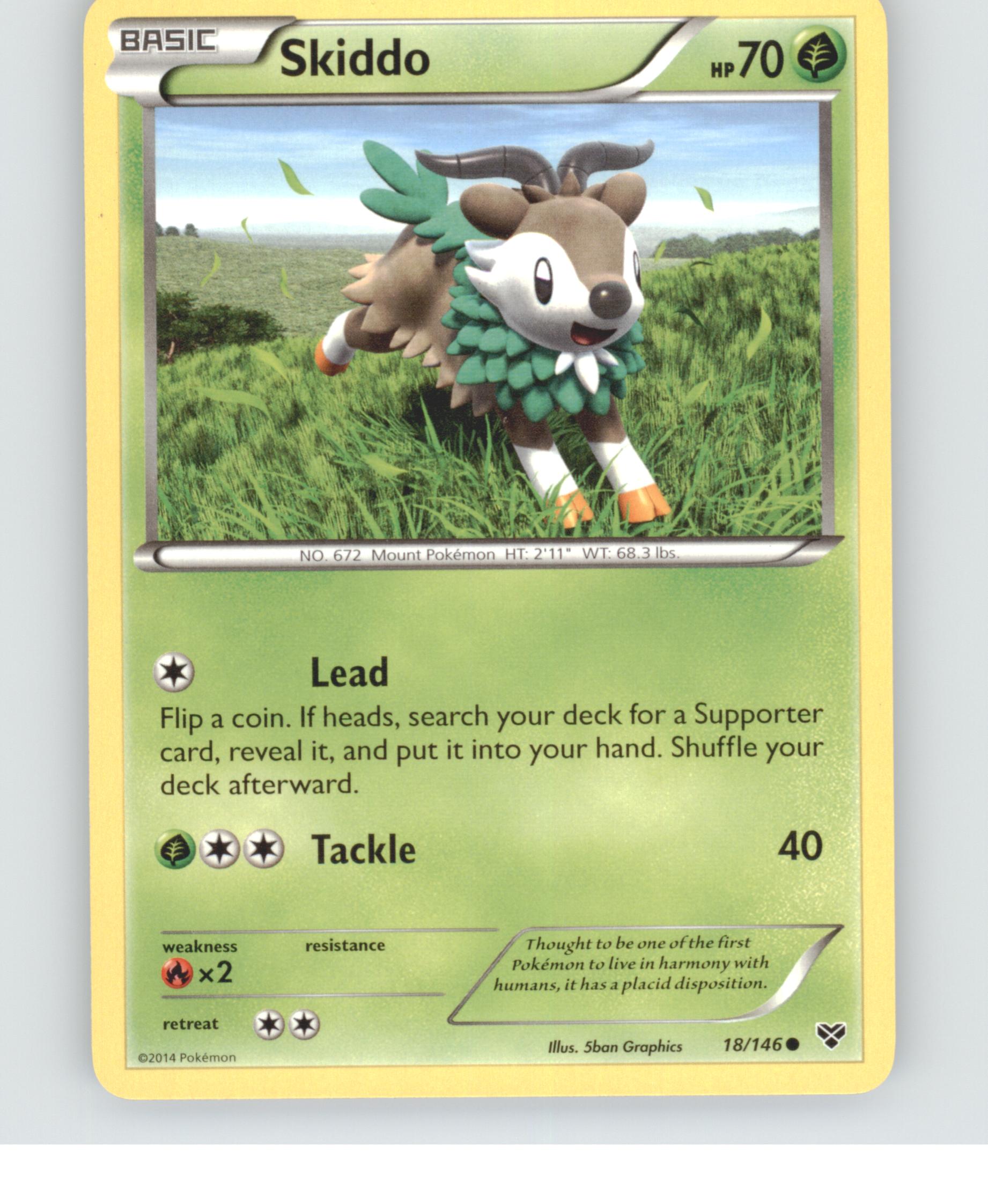 Skiddo
