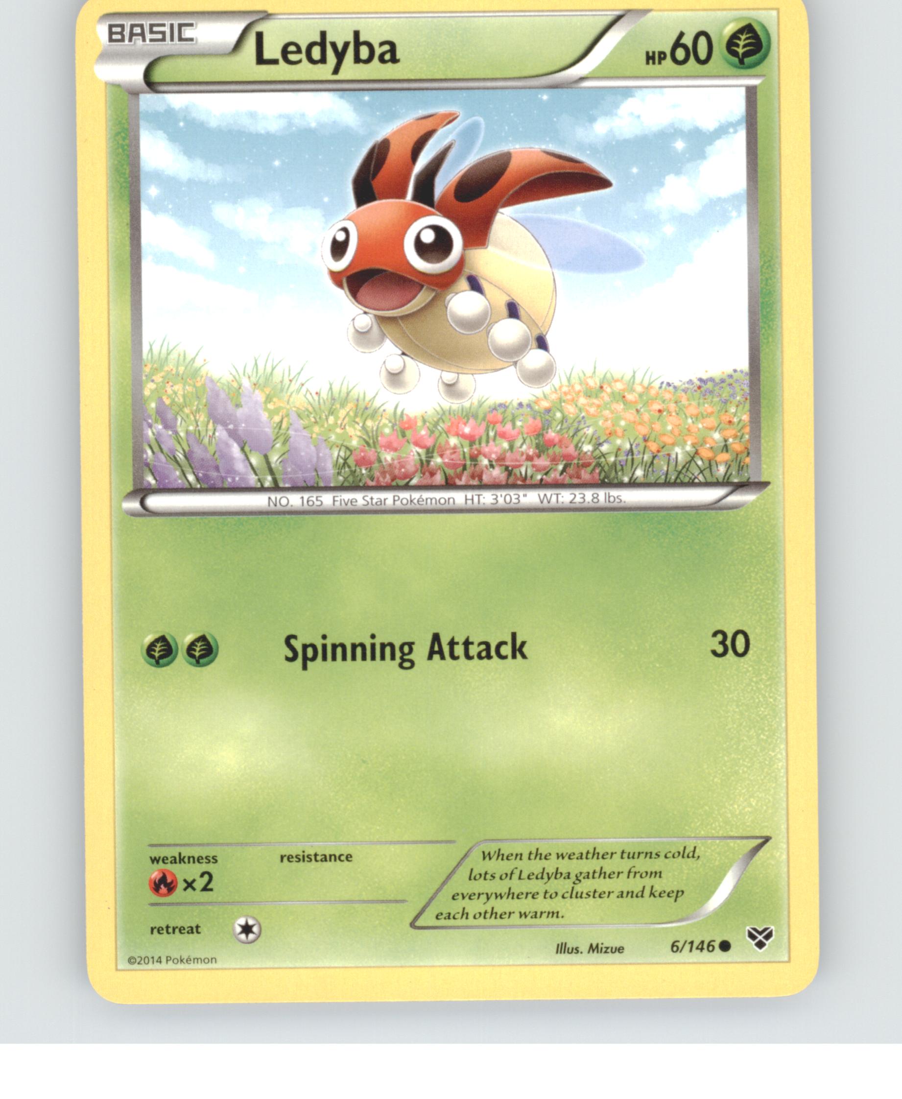 Ledyba
