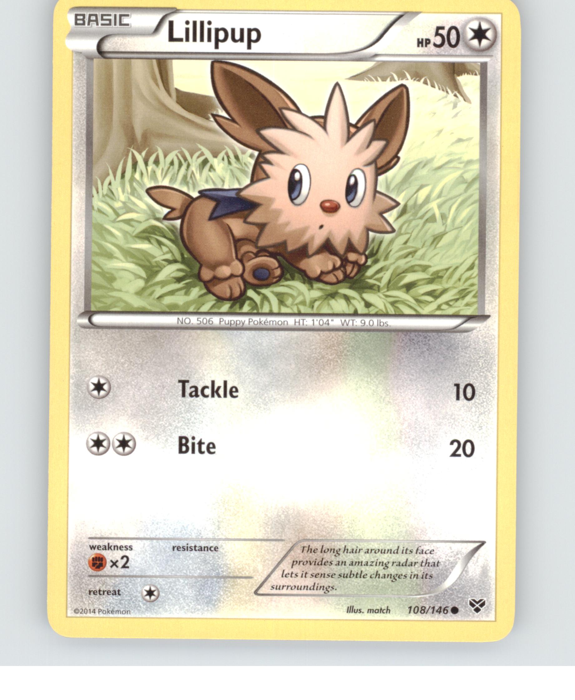 Lillipup