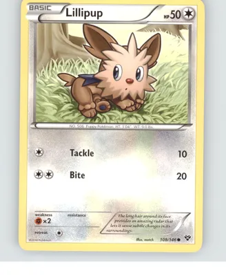 Lillipup