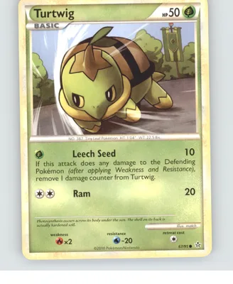 Turtwig